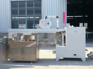 FLD-WHIRLY LOLLIPOP FORMING MACHINE